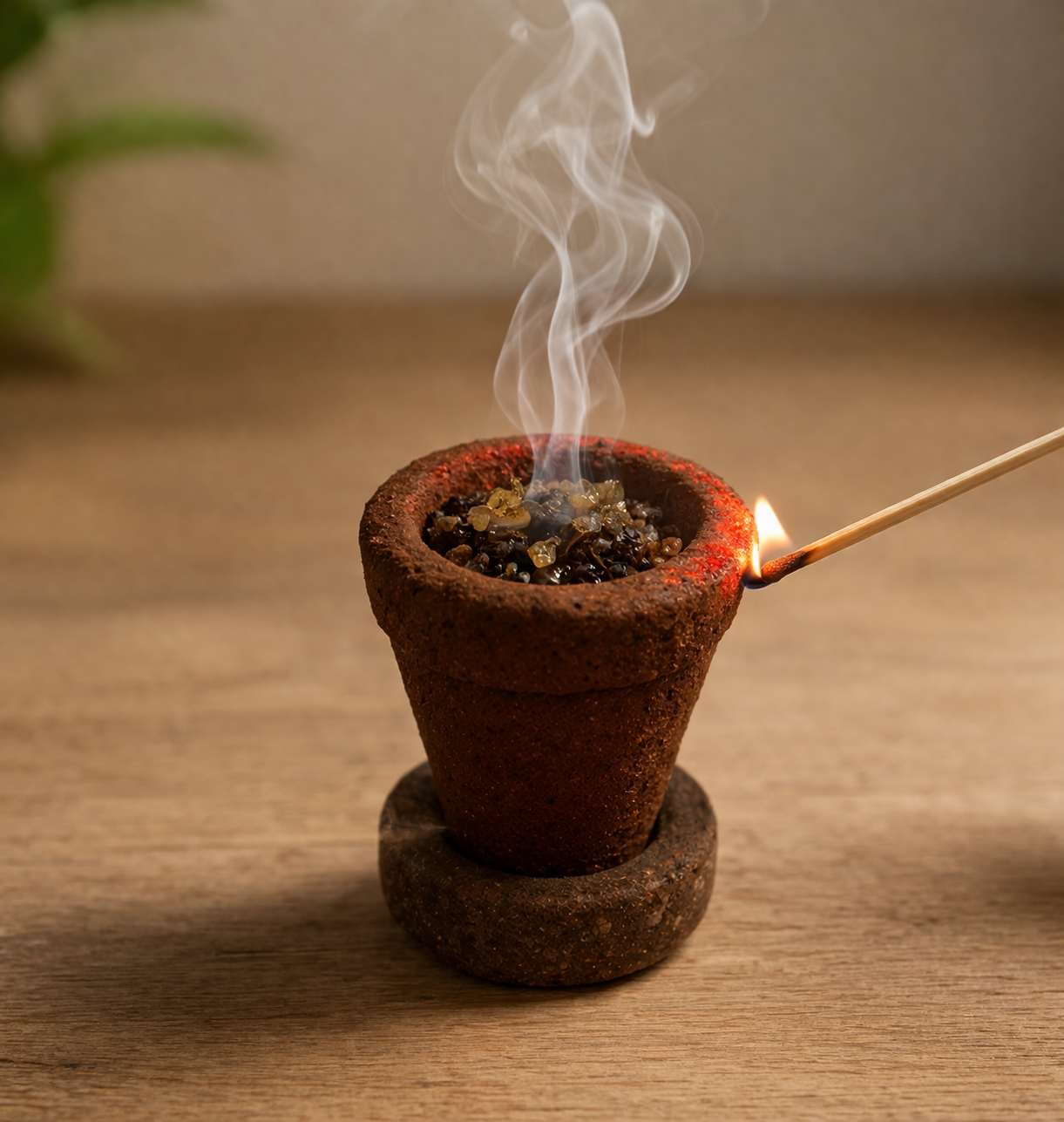 Panchgavya Hawan Cup