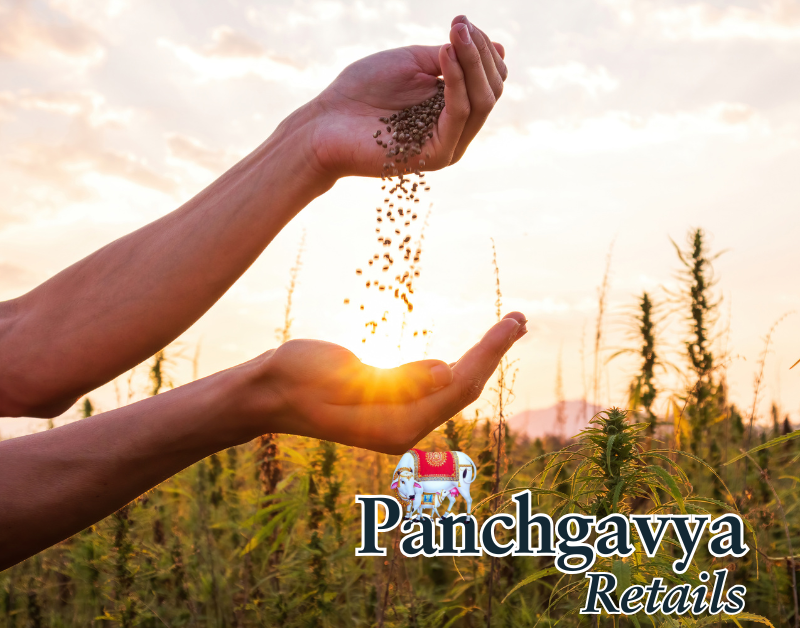 Panchgavya Retails is committed to empowering rural farmers by providing them with a direct platform to sell their organic and Panchgavya-based products. This image represents the prosperity and happiness of farmers when they receive fair compensation for their efforts. ✨ By choosing Panchgavya Retails, you: Support rural farmers and boost their income. Get chemical-free, pure products directly from the source. Contribute to sustainable farming and indigenous cow conservation. 🌿 Visit: Panchgavyaretails.com and be part of the organic revolution! 🌾🐄